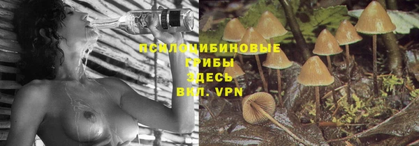 COCAINE Новокубанск